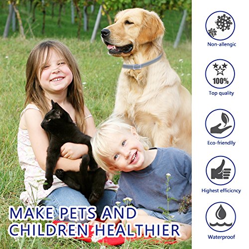 DEWEL Collar Antiparasitario,Collar Antiparasitario Perros Impermeable Tamaño Ajustable de 63cm para Contrar los Pulgas, Garrapatas y Mosquitos