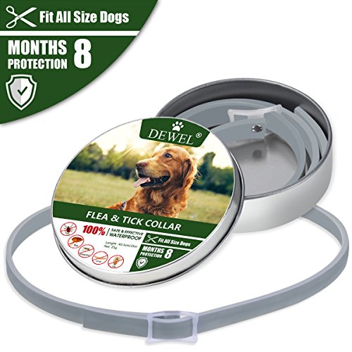 DEWEL Collar Antiparasitos para Perro,Gato Pequeño Mediano Grandes contra Pulgas, Garrapatas y Mosquitos, 8 Meses（para Perros）