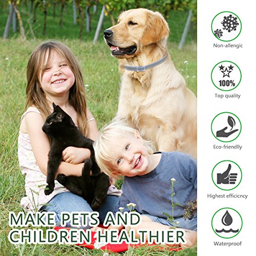 DEWEL Collar Antiparasitos para Perro,Gato Pequeño Mediano Grandes contra Pulgas, Garrapatas y Mosquitos, 8 Meses（para Perros）