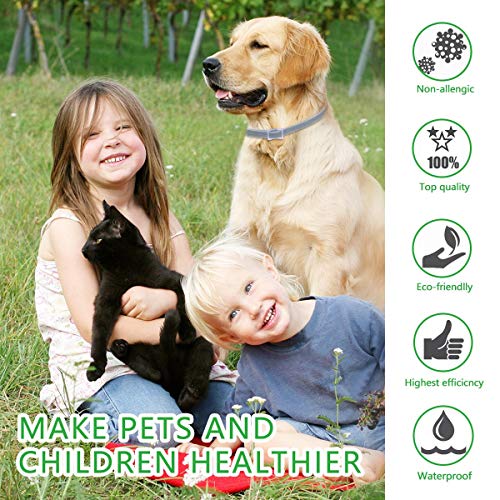 Dewel Collar Antiparasitos Perro y Gato contra Pulgas,Garrapatas y Mosquitos,Tamaño Ajustable e Impermeable para Mascota Pequeño Mediano Grandes