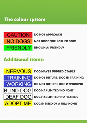 Dexil Arnés para Perro Que Trabaja (Perro en el Trabajo/no se Molesta), Color Azul con código de Color, no Tire L-XL para Evitar Accidentes por Advertencia a Otros de su Perro por Adelantado