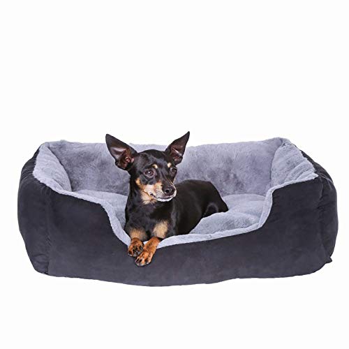 Dibea Cama Perros Cojín Perros Cesta Perros Con Cojín Tamaño M Gris/Negro 1 Unidad 650 g