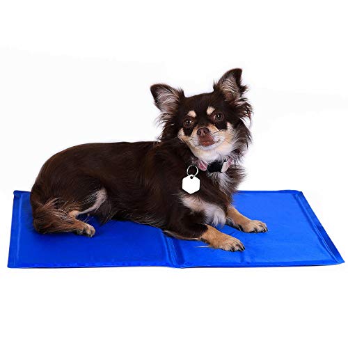 Dibea Esterilla, Alfombra Refrescante para Mascotas, Estera De Enfriamiento para Perros En Talla S/50X40 Cm, Azul