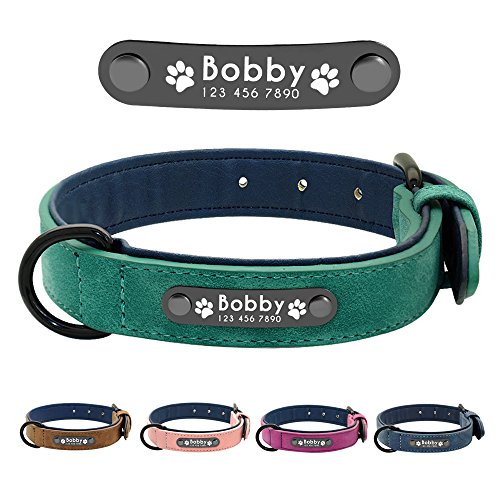 Didog - Collar de piel suave acolchada personalizable para perro, chapa de nombre, anilla en D, collar grabado para perro, tamaños pequeño, mediano y grande