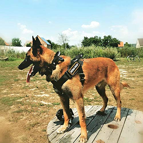 DINGO GEAR Arnés Multifuncional para Perro en el Trabajo, Entrenamiento de Perro Guardia, K9 e Ipo, Sistema Cobra Hecho a Mano Negro S03197, XL