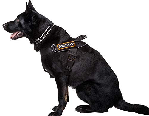 DINGO GEAR Arnés Multifuncional para Perro en el Trabajo, Entrenamiento de Perro Guardia, K9 e Ipo, Sistema Cobra Hecho a Mano Negro S03197, XL