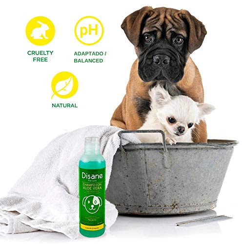 Disane Champú Para Perros Natural con Aloe Vera | 250ml | Pieles Sensibles y Atópicas, con Heridas, Dermatitis o Eccemas | pH Adaptado | Formulado para Perro y Cachorro Bajo Control Veterinario