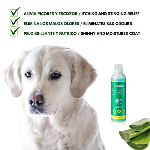 Disane Champú Para Perros Natural con Aloe Vera | 250ml | Pieles Sensibles y Atópicas, con Heridas, Dermatitis o Eccemas | pH Adaptado | Formulado para Perro y Cachorro Bajo Control Veterinario