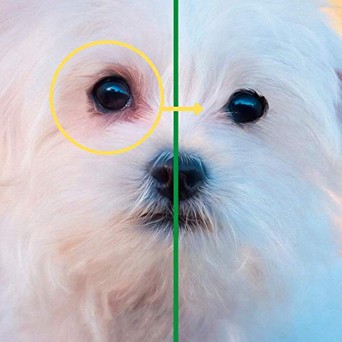 Disane Limpiador de Ojos para Perros Natural | Elimina Manchas y Legañas Producidas por Secreciones Lagrimales Alrededor del Ojo| Formulado Bajo Control Veterinario Para la Salud Ocular del Perro