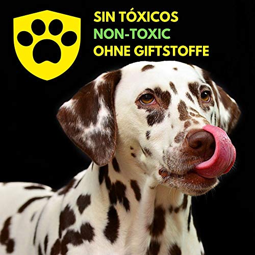 DISANE Pipetas Antiparasitarias para Perros 100% Naturales | 4 Uds | 4 Meses de Protección Contra Insectos y Parásitos: Pulgas, Garrapatas y Mosquitos | Antipulgas Sin Toxicidad para el Perro