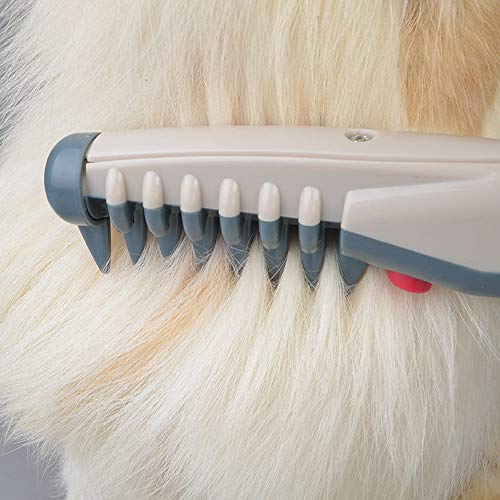 DjfLight Peine eléctrico para Mascotas,brocha desengañar Herramienta Aseo,Kit adiestrador Perros,Cepillado rastrillar, rastrillar pulgas,deshedding Profesional Mascotas Medianas Grandes Cabello Largo