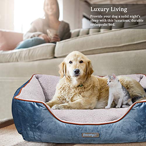 Docatgo Camas para Perros,Cama para Mascotas con Suave cojín Desmontable 80x60x25cm, Perros De Perrito Sofa con Suave cojín Desmontable