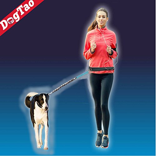 DogTao® Correa para Correr con Perros - Correa Manos Libres Anti-Tirones con Cinturón Running