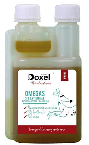 Doxel Sport - 1litro l Aceite para perros | Suplementos naturales nutricionales | Antioxidantes| Recuperación muscular| Articulaciones sanas |Sistema inmunitario reforzado| Canicross| Agility| Mushing