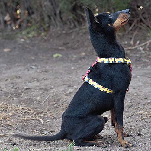 Dukier - Arnés clásico para Perro, Forma de H, cómodo, Ajustable y Resistente