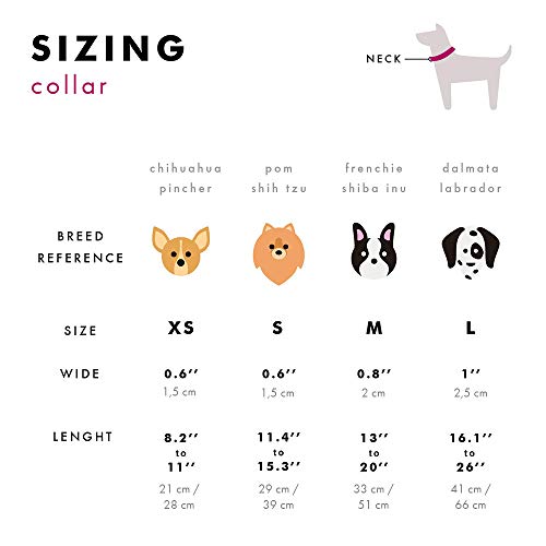 Dukier - Collar para Perro Ajustable y cómodo con Estampados Originales