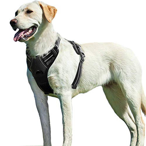 Eagloo Arnes de Perro Antitirones Cómodo Chaleco Ajustable Correa al Cuello y Pecho para Perros Grande Material Duradero Transpirable con Cinta Reflectante Adaptarse a Ejercer Externo L/Negro