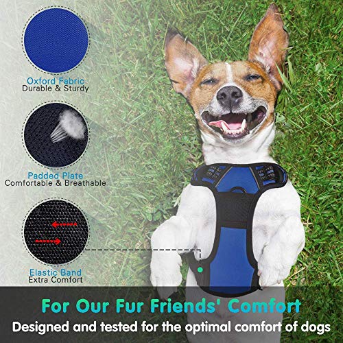 Eagloo Arnes de Perro Antitirones Cómodo Chaleco Ajustable Correa al Cuello y Pecho para Perros Grande Material Duradero Transpirable con Cinta Reflectante Adaptarse a Ejercer Externo L/Azul