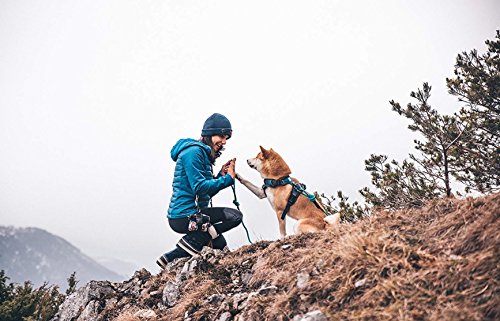 Embark Pets - Correa Sierra para perro con cuerda de escalada de montaña y mosquetón