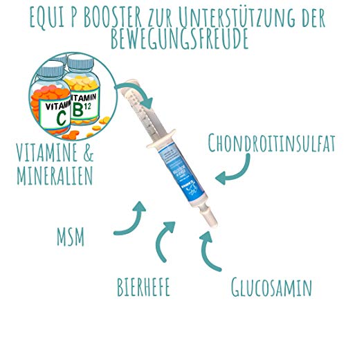 Emma Set ahorro Equi P Booster para caballos, MSM, corteza de sauce, levadura de cerveza I Mezcla de hierbas I para aparatos de movimiento y para articulaciones, tendones bandas, 2 Pc