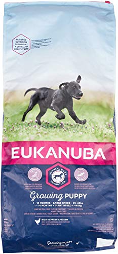 EUKANUBA Cachorro de Raza Grande en Crecimiento rico en pollo fresco [12 kg]