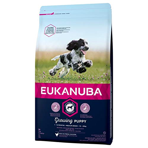 Eukanuba Cachorro Raza mediana Pollo