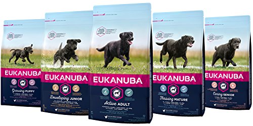 EUKANUBA Junior en Desarrollo Raza Grande rico en pollo fresco [3 kg]