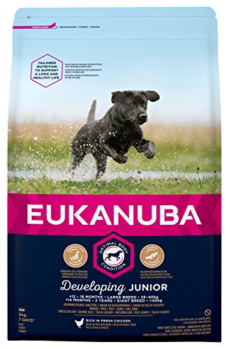 EUKANUBA Junior en Desarrollo Raza Grande rico en pollo fresco [3 kg]