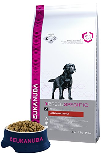 Eukanuba Labrador Retriever Adulto [12 Kg]