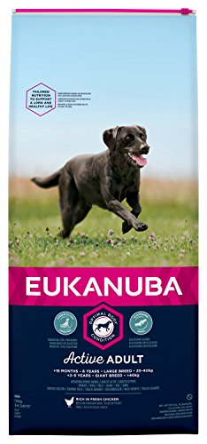 EUKANUBA Raza Grande Adulto Activo rico en pollo fresco [12 kg]