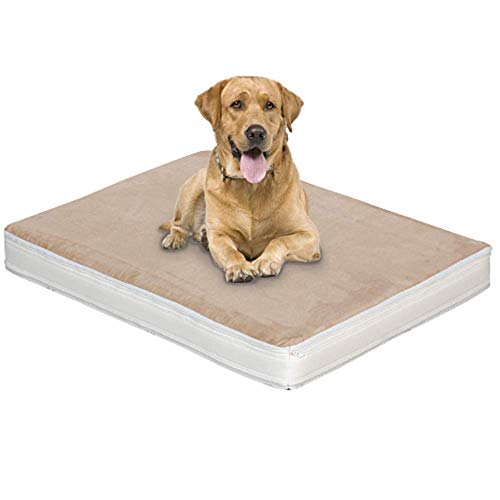 evergreenweb - colchón Cama para Perro O Gato de Varias Tallas, Alto 10 cm Relleno Suave, Placa Interna de Espuma waterfoam, Revestimiento con Air Space Funda extraíble y Lavable Oferta