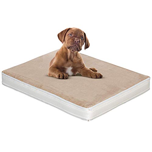 evergreenweb - colchón Cama para Perro O Gato de Varias Tallas, Alto 10 cm Relleno Suave, Placa Interna de Espuma waterfoam, Revestimiento con Air Space Funda extraíble y Lavable Oferta