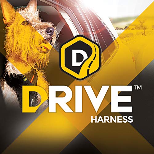 EzyDog Drive Arnés De Coche para Perro, Cinturón De Seguridad para Perros, Multifunción, Ajustable, Arnés De Chaleco De Viaje (S, Negro)