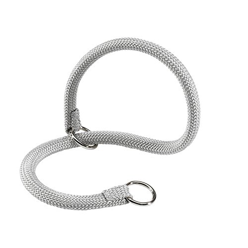 Feplast 75381099W2 Collar Estrangulador para Perros Sport Cs13/60, Robusto Cordón de Nailon, A: 60 Cm - B: 13 Mm Plateado