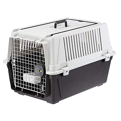 Feplast Transportín para Perros de Talla Media Professional, Puerta de Acero Plastificado, Sistema de Cierre de Seguridad, Rejillas de Ventilación, 68 x 49 x 45.5 Cm Gris, ATLAS PRO 40, 73011021