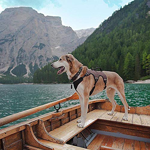 Ferplast Arnés ergonómico para Perros ERGOTREKKING P Medium, 6 Cierres con microrregulación con Suave Acolchado, Reflectante, A: de 37 a 47 cm - B: de 55 a 65 cm - C: de 50 a 60 cm - L 25 cm Marrón