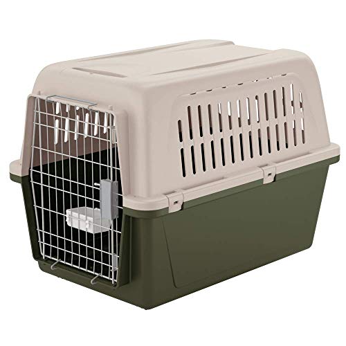 Ferplast Transportín para Perros Grandes Atlas 60 Classic, con comedero Incluido, Puerta de Acero plastificado, Cierre de Seguridad, Rejillas de ventilación, 61 x 91 x h 66,5 cm Verde