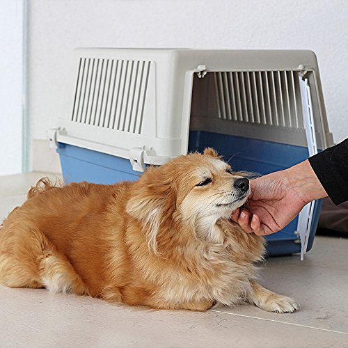 Ferplast Transportín rígido para Perros de Talla pequeña y Gatos Atlas 30 EL, Caja de Transporte, Plástico, Puerta de Acero plastificado, Rejillas de ventilación, 40 x 60 x h 38 cm Azul Marino