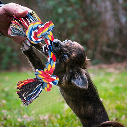 FONPOO Juguetes Perro,Hecho de La Correa de Perro de Frutas y Verduras Reducir el Aburrimiento del Perro y Masajear la Salud de Las Encías PelucheJjuego de 10 Piezas para Regalo de Perro