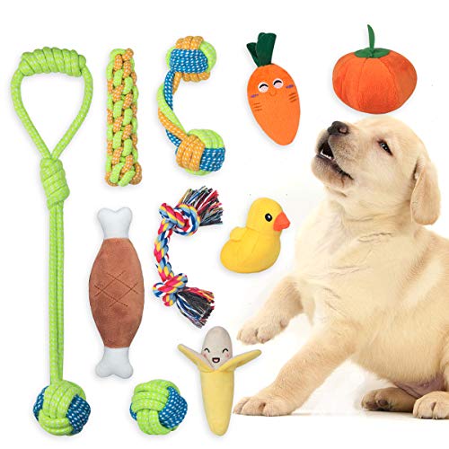 FONPOO Juguetes Perro,Hecho de La Correa de Perro de Frutas y Verduras Reducir el Aburrimiento del Perro y Masajear la Salud de Las Encías PelucheJjuego de 10 Piezas para Regalo de Perro