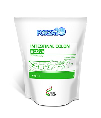 Forza10 Intestinal Colon - Alimento seco para Gatos