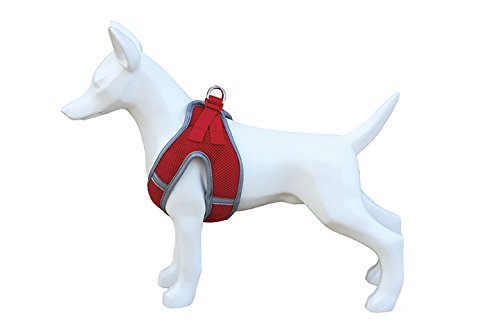 Freedog F010074001 - Arnés Soft, para Perro, Color Rojo