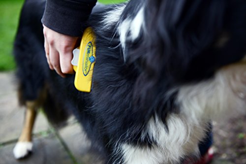 Furminator Herramienta de muda para Perros Grandes de Pelo Largo L