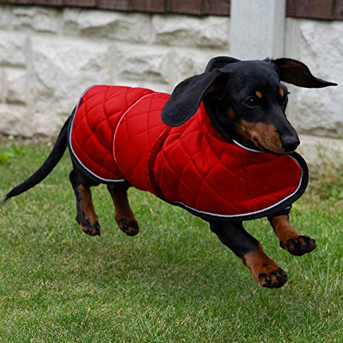 Geyecete C588 Abrigo térmico Acolchado para Perro, Abrigo de Invierno para Perro con Forro Polar cálido, Ropa para Perro al Aire Libre con Bandas Ajustables para Perros pequeños, medianos y Grandes