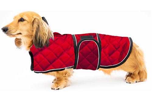 Geyecete C588 Abrigo térmico Acolchado para Perro, Abrigo de Invierno para Perro con Forro Polar cálido, Ropa para Perro al Aire Libre con Bandas Ajustables para Perros pequeños, medianos y Grandes