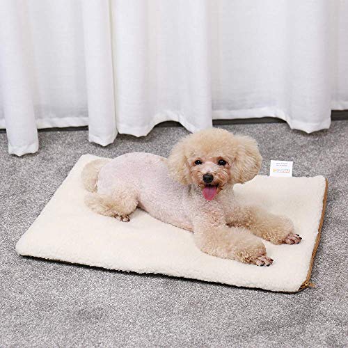 GingerUP - Alfombra de Cama para Mascotas, Gatos, Auto calefacción, para Mascotas, Perros y Gatitos para Viajes o casa, Color Blanco