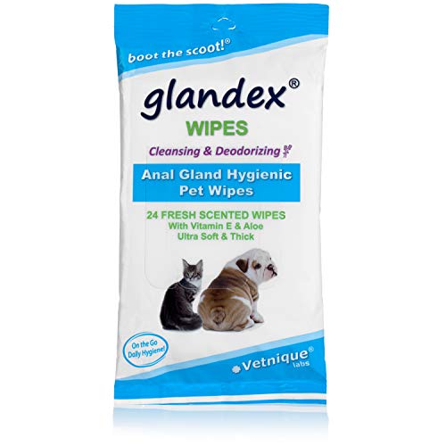 GlandexÂ Toallitas para Mascotas Limpiar y desodorizar la glándula Anal - 24 toallitas Fresh Scent