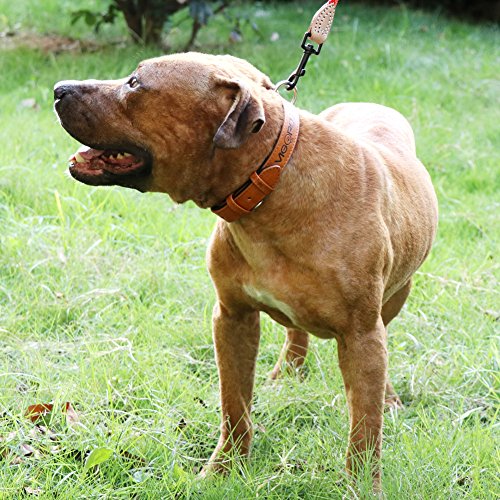 Grand Line Collar de Perro de Cuero Duradero Acolchado Suave con Perforador de Agujeros, Marrón(M)