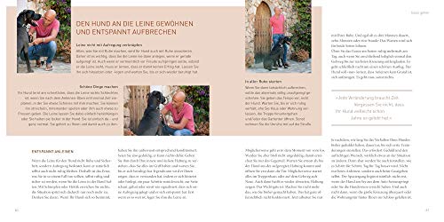 GU José Arce's Praxisbuch: Caminos Equipo de Perros + stylischer Hunde-Beutel & Gratis Hunde-Spielball para Zahnpflege, Hundeerziehung