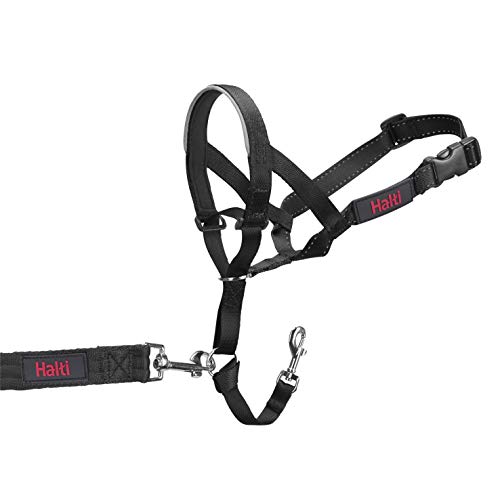 Halti Headcollar